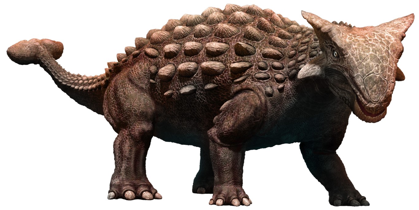 Ankylosaurus Quiz: How Much Do You Know About the Armored Dinosaur ...