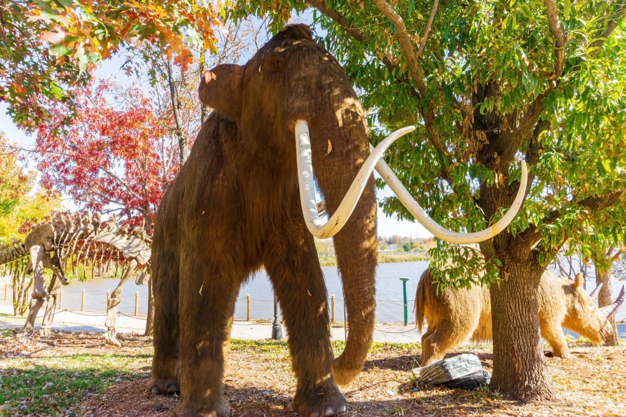 How Well Do You Know Extinct Animals? | Clever Rabbits